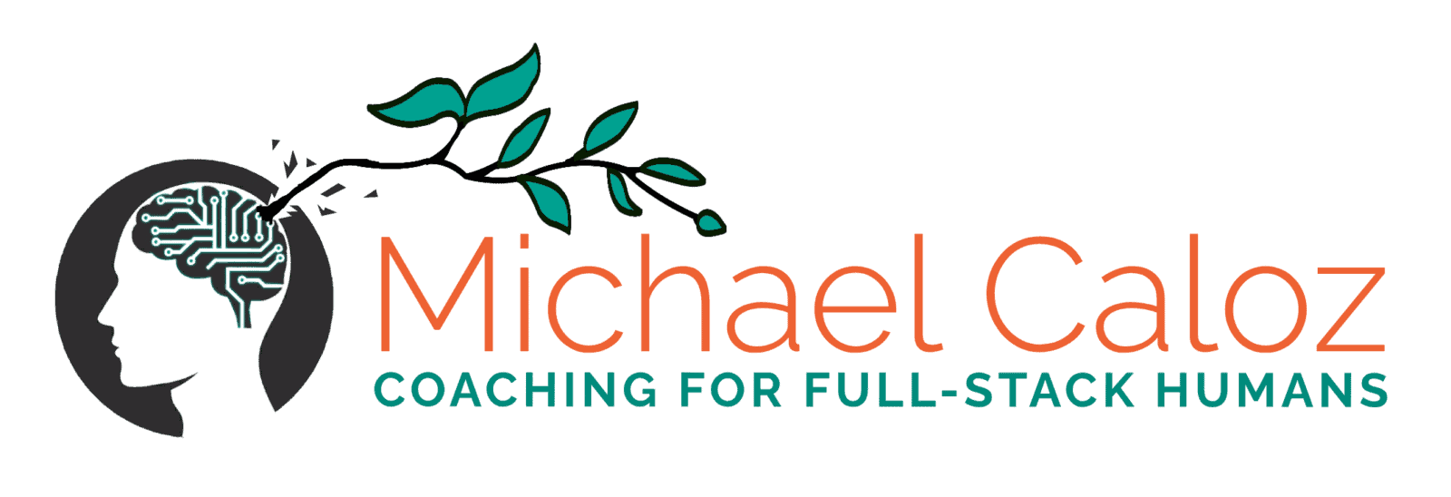 Michael Caloz Coaching